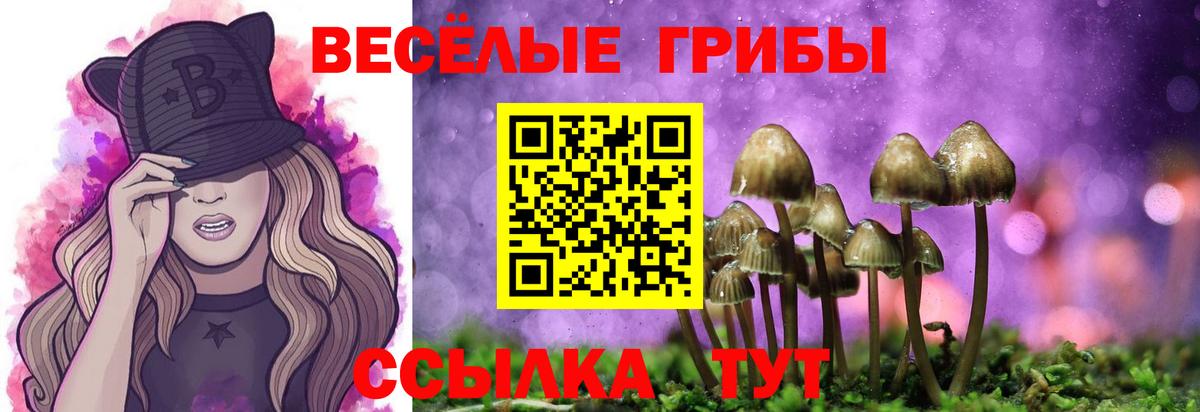 Псилоцибиновые грибы прущие грибы  Галлюциногенные грибы ЛСД  Приморско-Ахтарск  Вход с VPN 