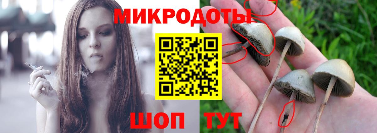 Галлюциногенные грибы мицелий Приморско-Ахтарск